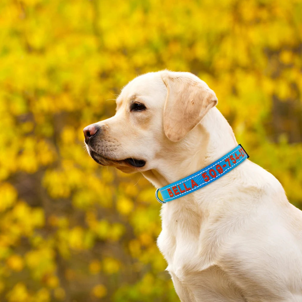 Personalized Embroidered Nylon Dog Collar – Reflective Custom Pet ID Tag with Name & Phone Number – Adjustable for Small, Medium, Large Dogs