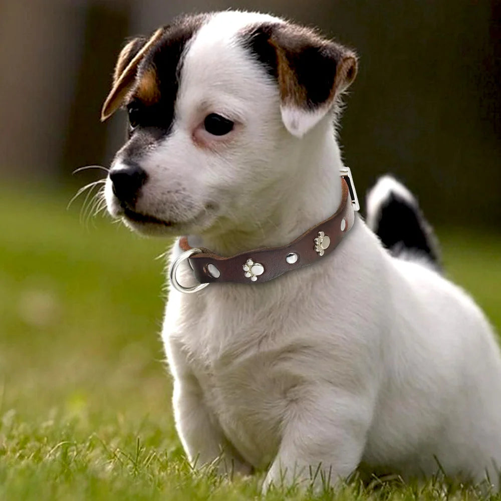 Soft Genuine Leather Pet Dog Collar – Adjustable for Small & Medium Dogs