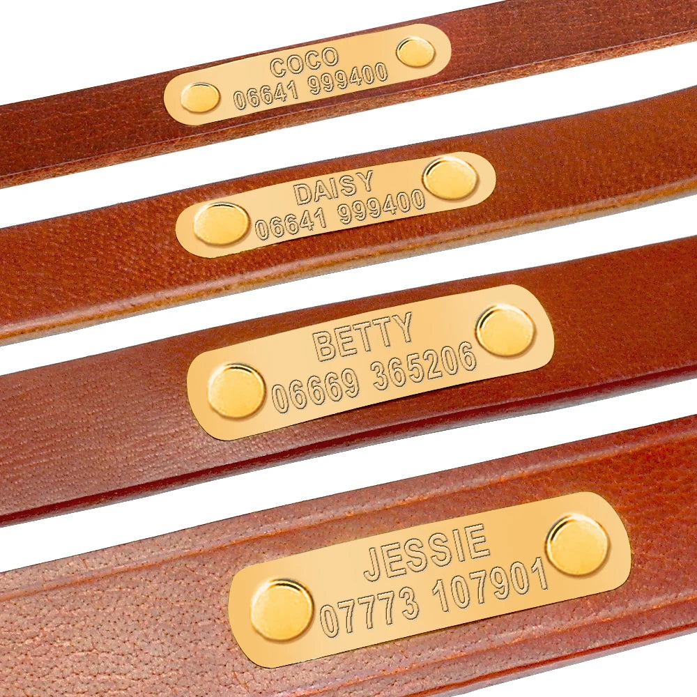 Personalized Leather Dog Collar – Custom Engraved ID Tag with Name & Phone Number for Small & Medium Dogs