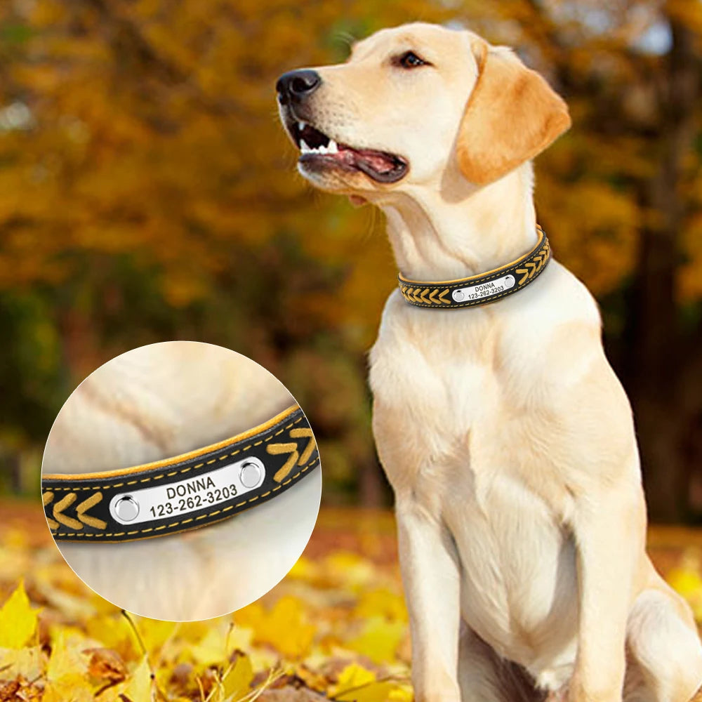 Custom Engraved Leather Dog Collar – Personalized Comfort & Style