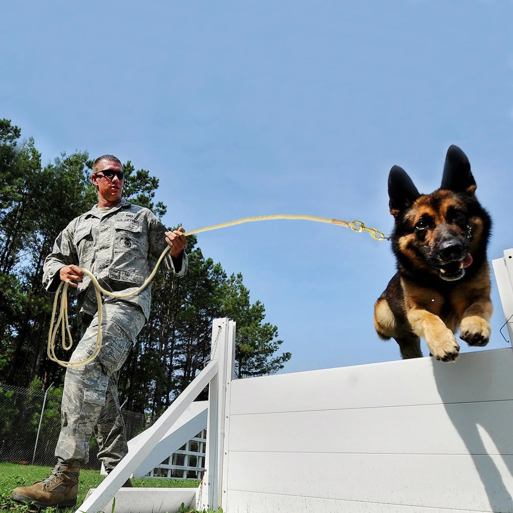 Durable Dog Tracking Leash – Long Nylon Rope Training Lead