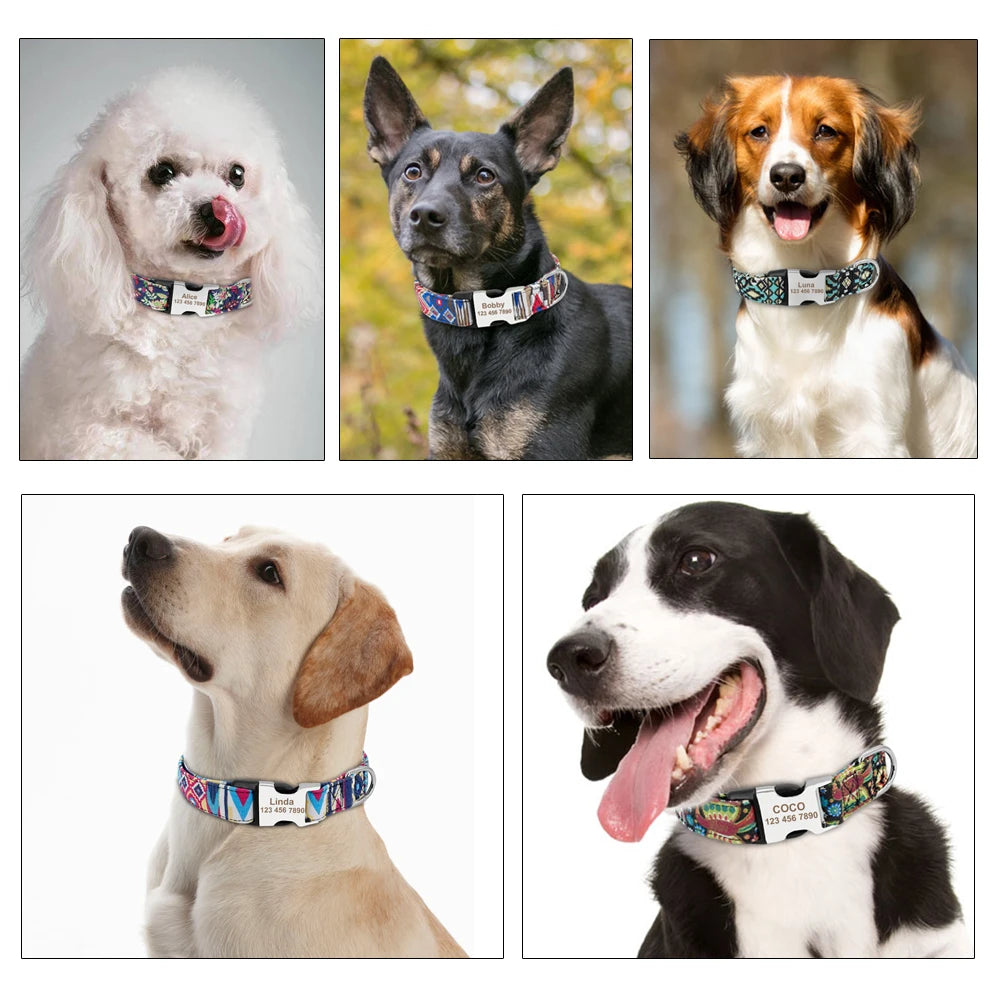 Custom Dog Collar – Personalized Nylon Pet ID Collar with Engraved Nameplate | Adjustable for Small & Large Dogs