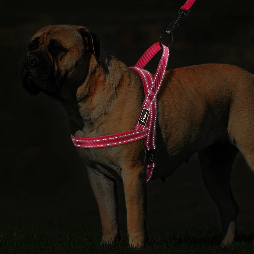 No Pull Reflective Dog Harness & Leash Set – Adjustable Nylon Padded Pet Vest for Small, Medium & Large Dogs (XXS–L)