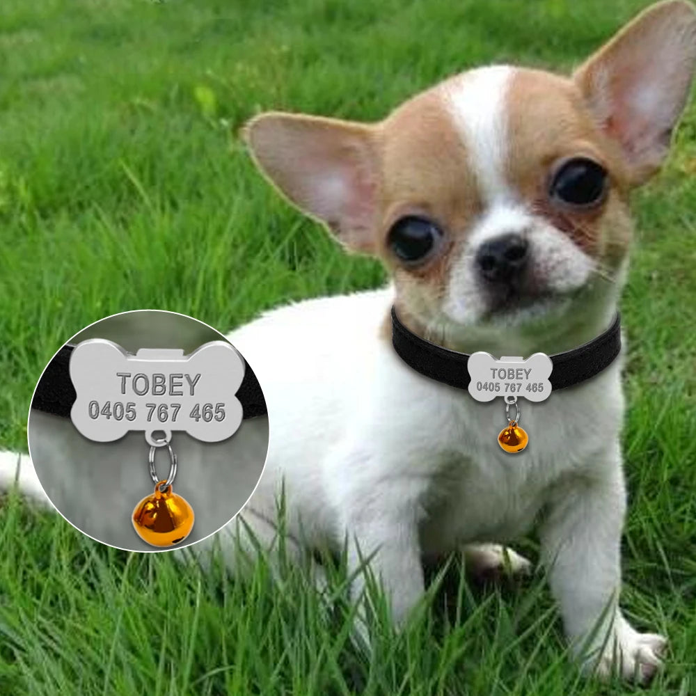 Personalized Dog Collars Custom Chihuahua Puppy Cat Collar Bone ID Tag Engraved with Free Bell – XS S