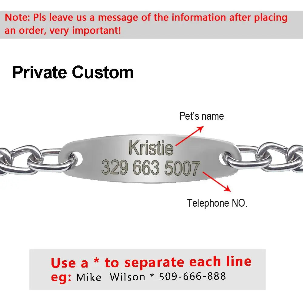 Large Silver Dog Chain Collar – Personalized Training Choker with Free Engraved Nameplate