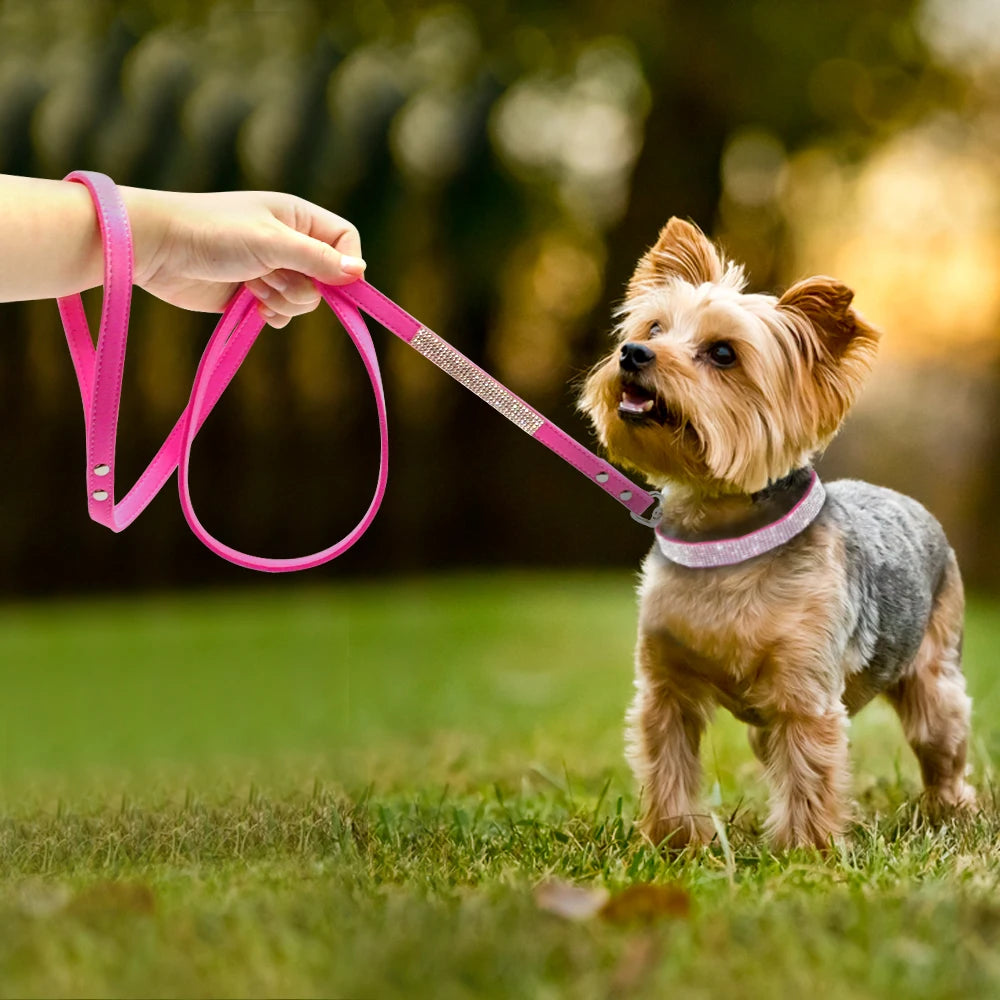 Adjustable Suede Leather Puppy Dog Collar & Leash Set – Rhinestone Bling for Small & Medium Pets (XS–M)