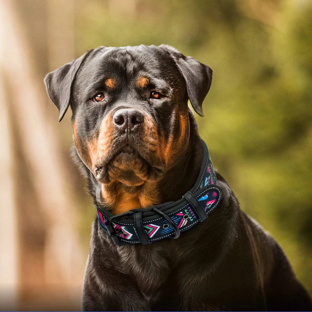 Reflective Nylon Dog Collar – Adjustable & Durable for Medium & Large Dogs