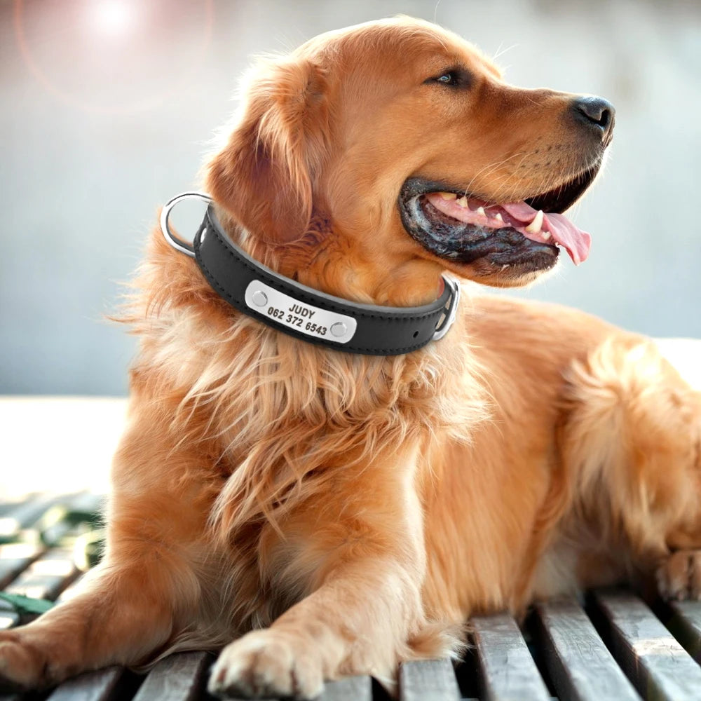 Personalized Engraved Dog Collar – Custom PU Leather ID Collar
