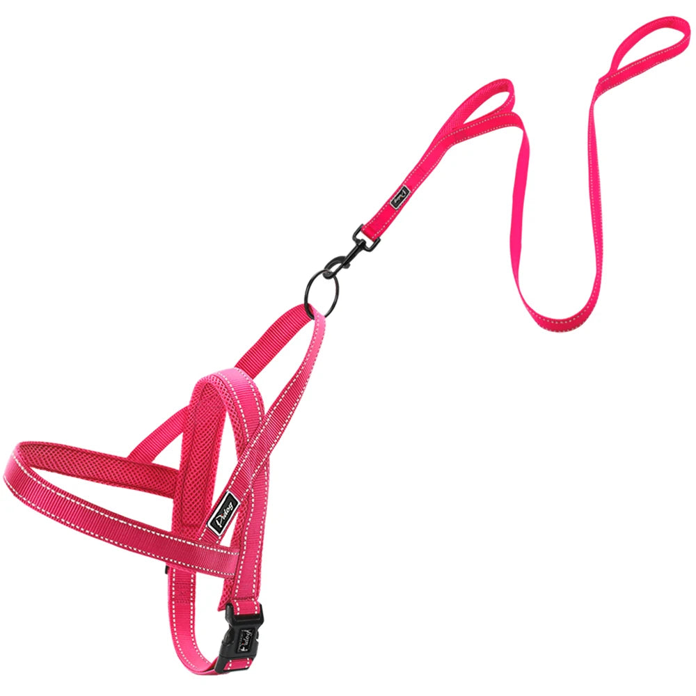 No Pull Reflective Dog Harness & Leash Set – Adjustable Nylon Padded Pet Vest for Small, Medium & Large Dogs (XXS–L)