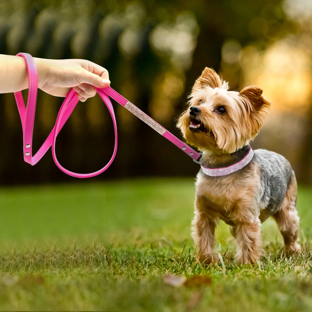 Fashion Rhinestone Dog Leash – Bling Shiny Puppy Walking Lead