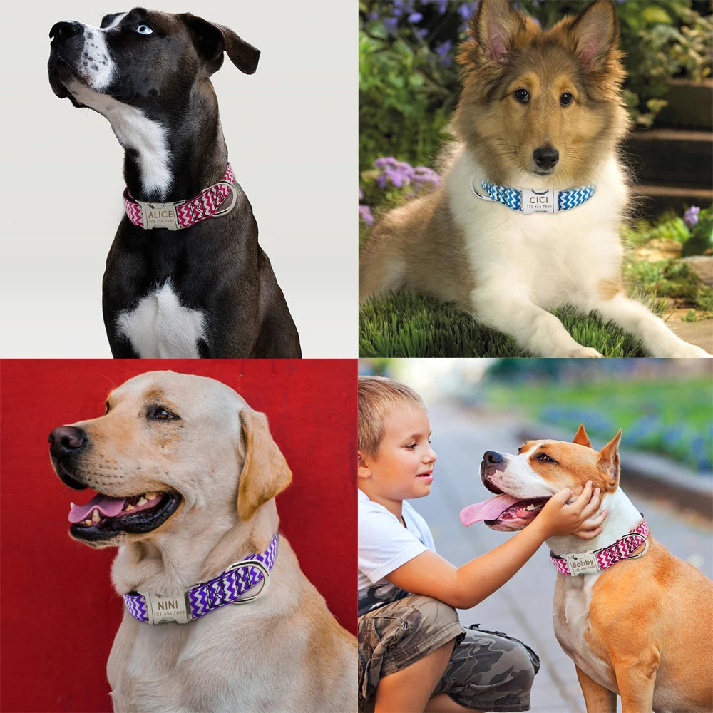 Personalized Nylon Dog Collar – Custom Engraved ID Tag Nameplate for Medium & Large Dogs