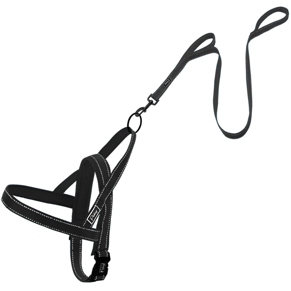 No Pull Reflective Dog Harness & Leash Set – Adjustable Nylon Padded Pet Vest for Small, Medium & Large Dogs (XXS–L)