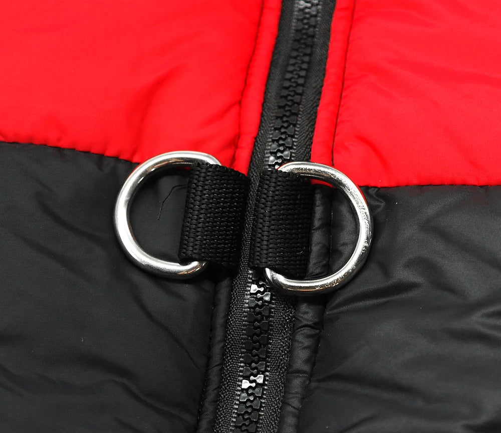 Waterproof Dog Winter Coat – Warm Padded Jacket for Small, Medium & Large Dogs