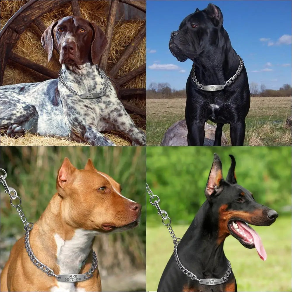 Large Silver Dog Chain Collar – Personalized Training Choker with Free Engraved Nameplate