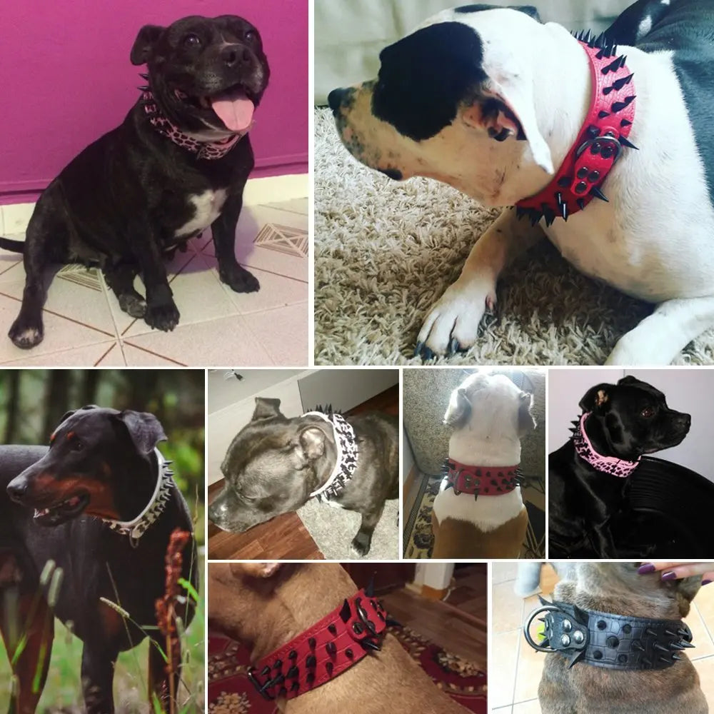 🐾 2" Wide Heavy-Duty Spiked Leather Dog Collar – For Medium & Large Breeds