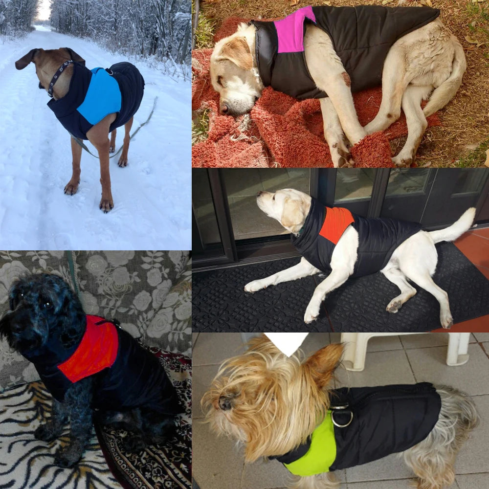 Waterproof Dog Winter Coat – Warm Padded Jacket for Small, Medium & Large Dogs