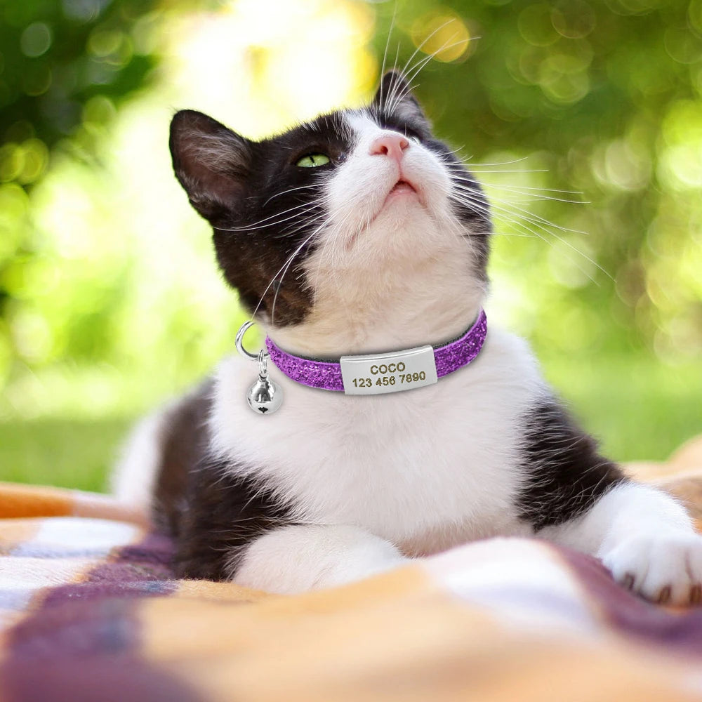 Personalized Bling Cat Collar – Custom Engraved Quick Release Collar with Bell for Cats & Small Dogs