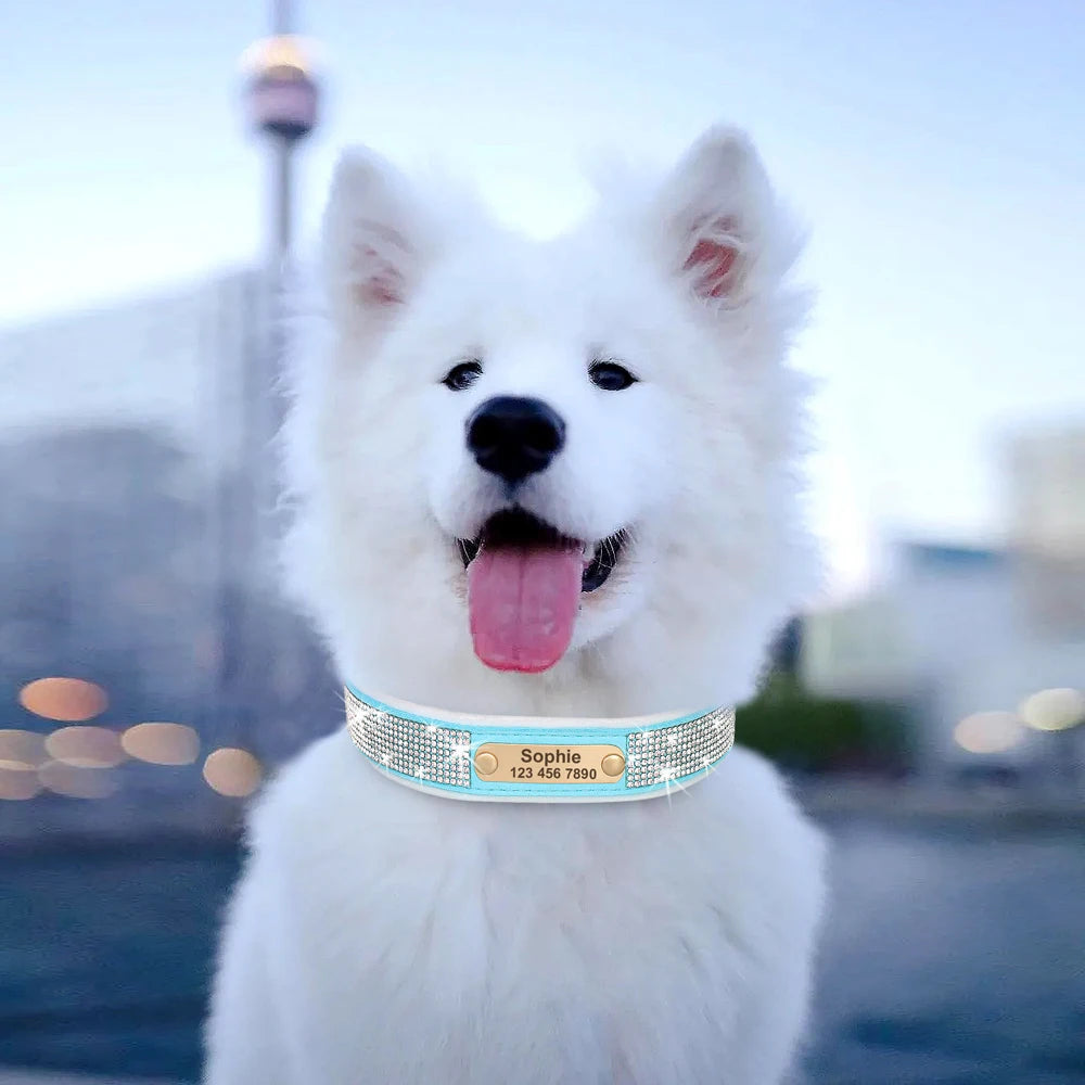 Personalized Dog Tag Collar – Bling Rhinestone Nylon Pet Collar with Soft Padded Lining, Free Engraving for Small Medium Dogs & Cats