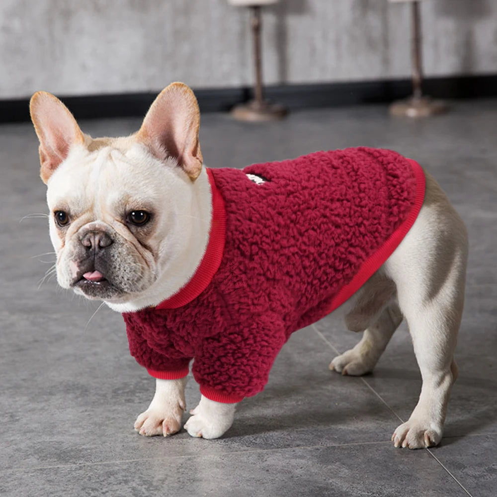 Winter Dog & Cat Coat – Warm Jacket for Small & Medium Pets