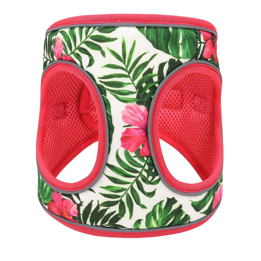 Printed Mesh Dog & Cat Harness Leash Set – Adjustable No-Pull Pet Vest with Matching Lead (Pink / Black / Blue)