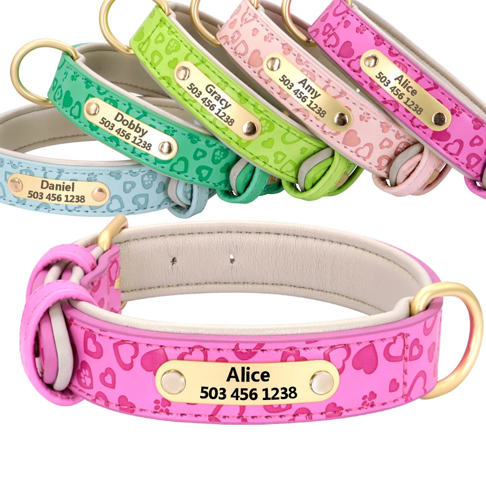 Personalized Padded Leather Dog Collar with Custom Engraved Nameplate – For Small to 2XL Dogs