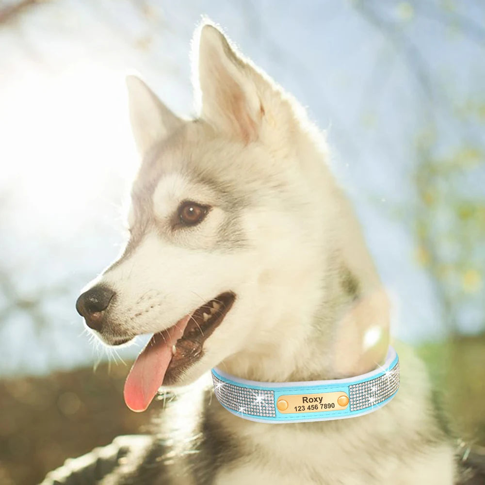 Personalized Dog Tag Collar – Bling Rhinestone Nylon Pet Collar with Soft Padded Lining, Free Engraving for Small Medium Dogs & Cats