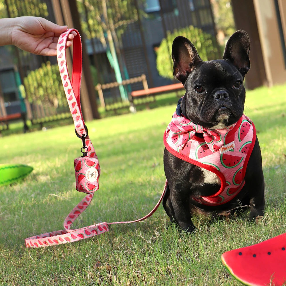 6-Piece Dog Harness Set – Fashion Printed Harness with Matching Collar, Leash, Bandana, Bowtie & Poop Bag Holder for Small & Medium Dogs