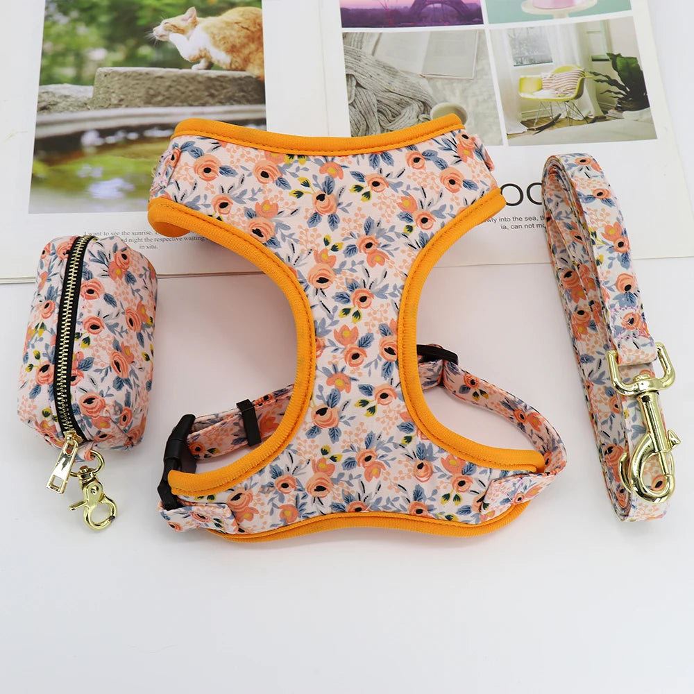 Adjustable Nylon Mesh Dog Harness Leash Set – Cute Printed Vest & Collar for Small & Medium Dogs & Cats (French Bulldog, Chihuahua, Yorkie, Puppy)