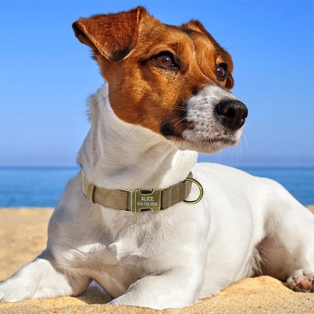 Personalized Leather Dog Collar – Free Engraved ID Tag for Dogs
