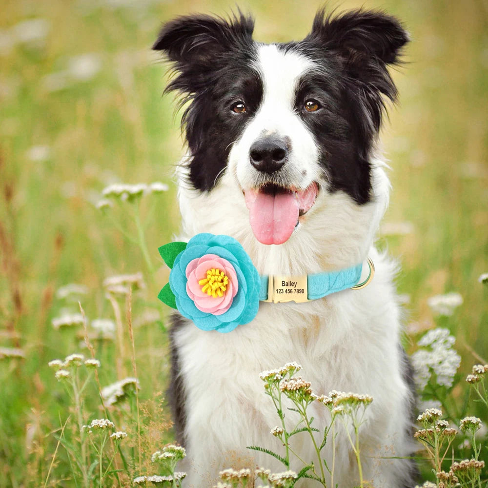 Personalized Floral Dog Collar – Custom Engraved Buckle with Cute Flower Accessory for Dogs & Cats