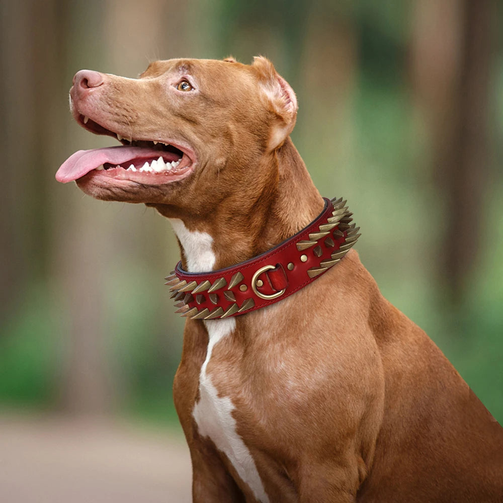 Cool Spiked Studded Leather Dog Collar – Durable Strong Collar for Medium & Large Dogs (Pitbull, Bulldog, Boxer)