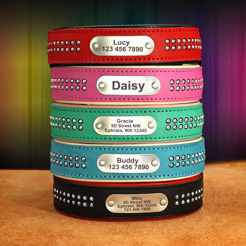 Personalized Dog Collar with Rhinestones – Custom Engraved Leather Pet ID Collar | Adjustable for Small, Medium & Large Dogs