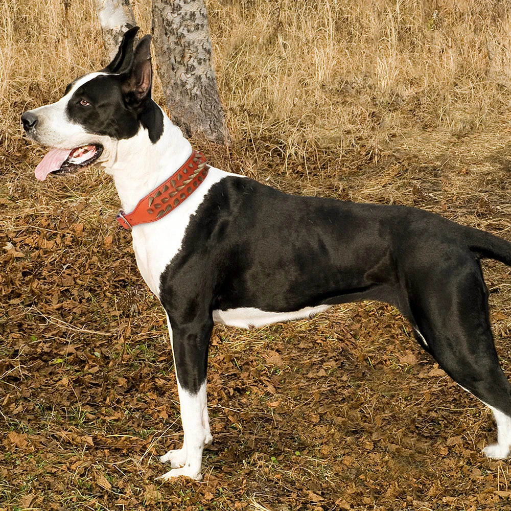 Cool Spiked Studded Leather Dog Collar – Durable Strong Collar for Medium & Large Dogs (Pitbull, Bulldog, Boxer)