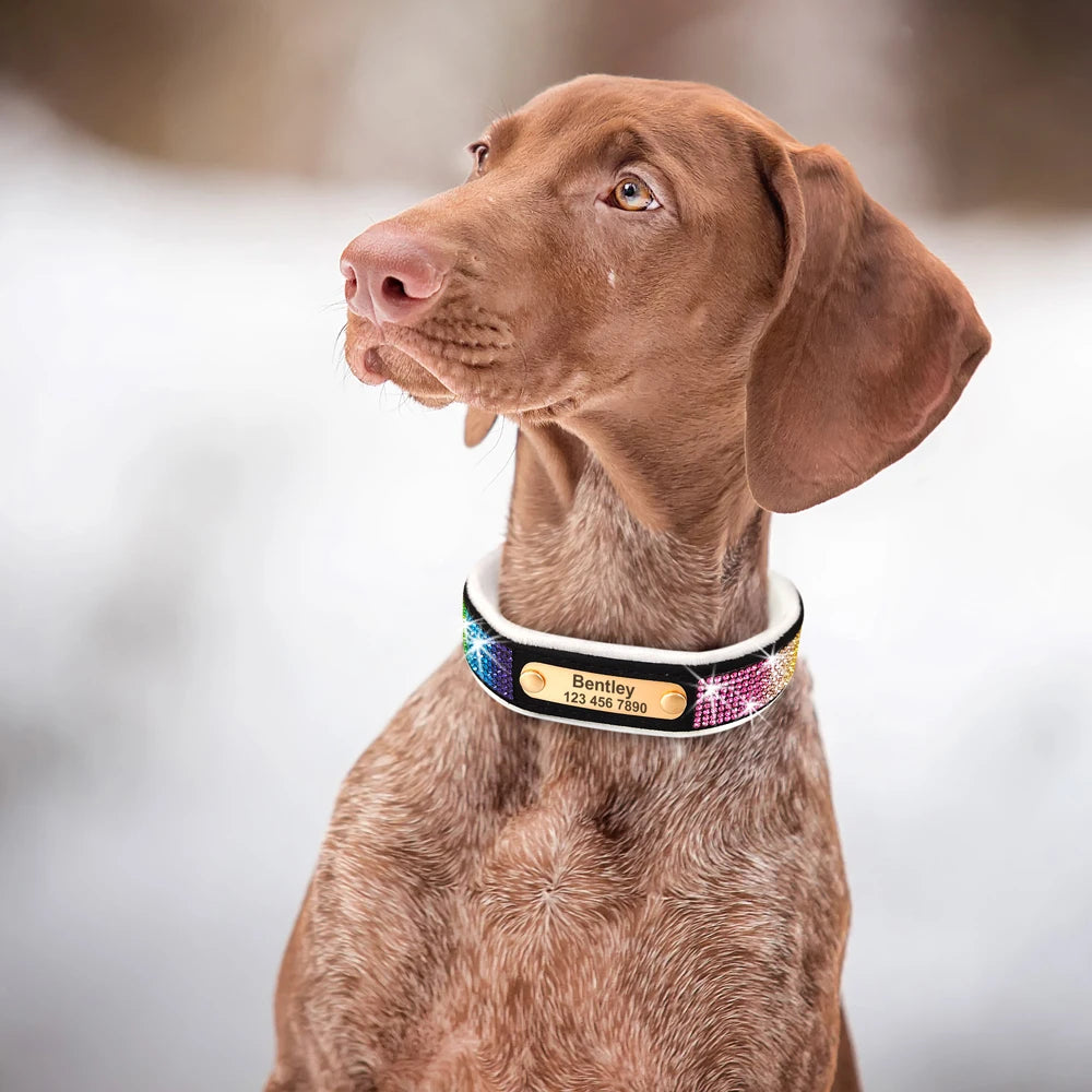 Personalized Dog Tag Collar – Bling Rhinestone Nylon Pet Collar with Soft Padded Lining, Free Engraving for Small Medium Dogs & Cats