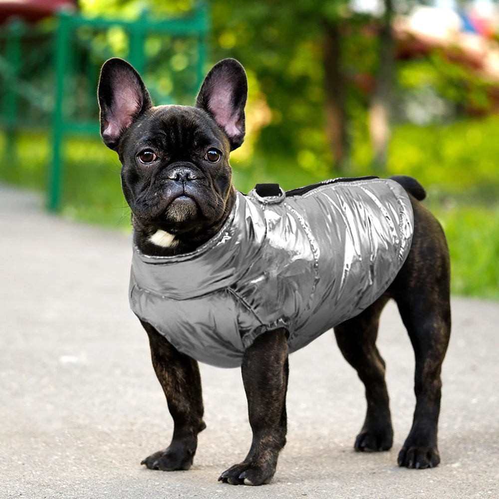 Waterproof Dog Coat with Hood – Warm Winter Jacket for Small, Medium & Large Dogs