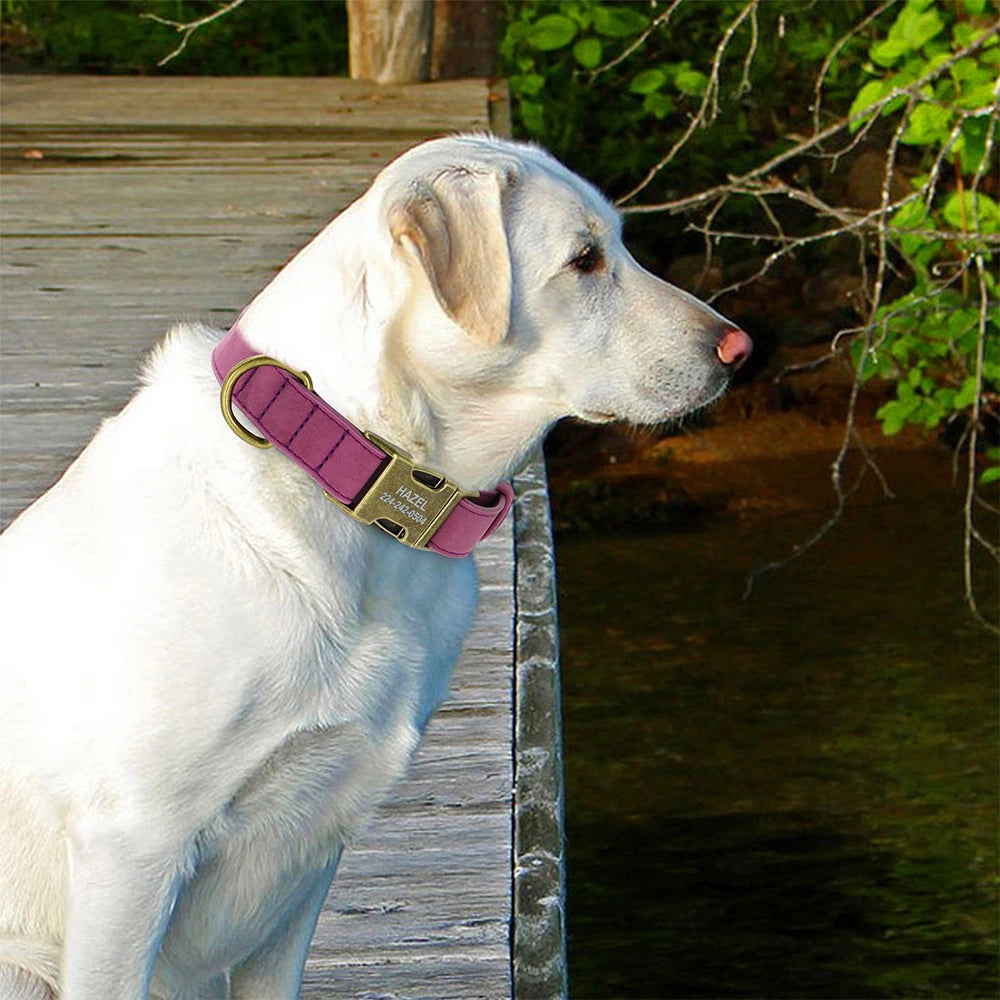 Personalized Leather Dog Collar – Free Engraved ID Tag for Dogs
