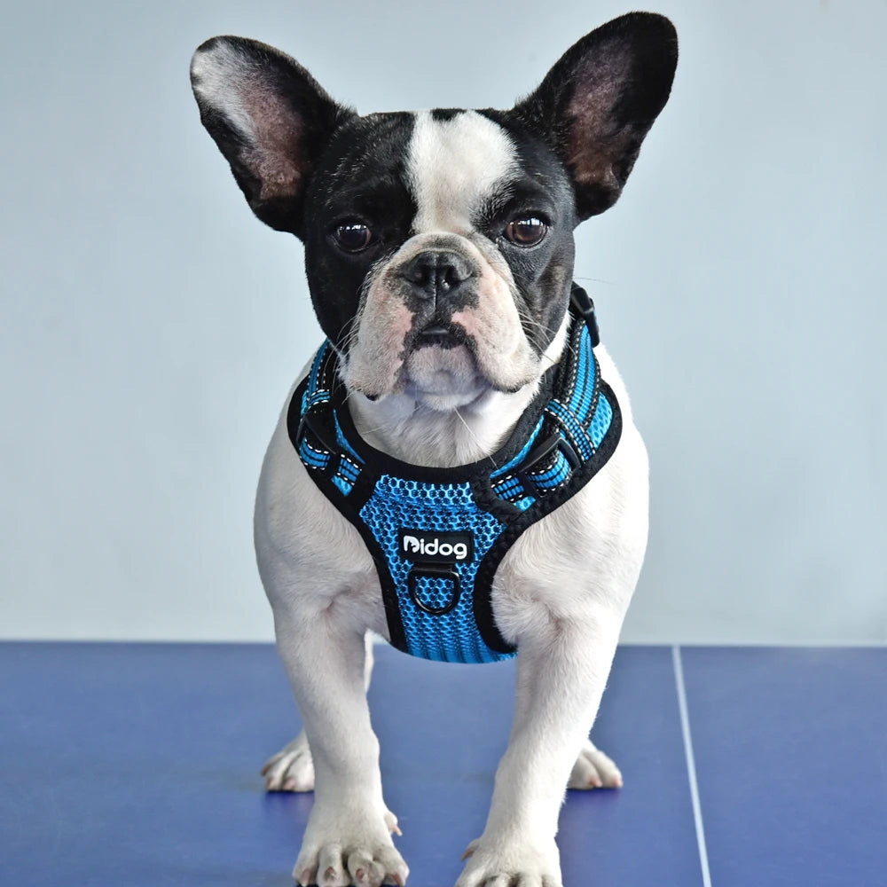 No-Pull Reflective Dog Harness – Adjustable Safety Vest for Small, Medium & Large Dogs (Pitbull, Bulldog, Boxer)