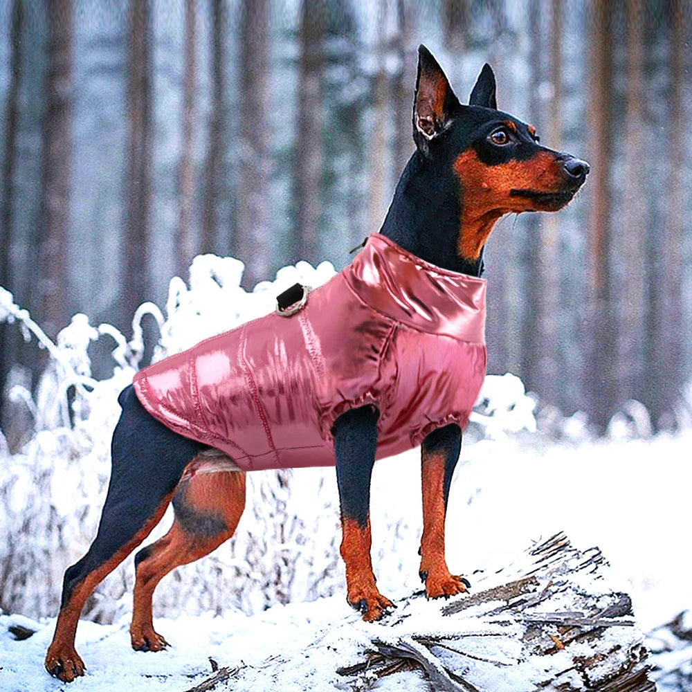Waterproof Dog Coat with Hood – Warm Winter Jacket for Small, Medium & Large Dogs