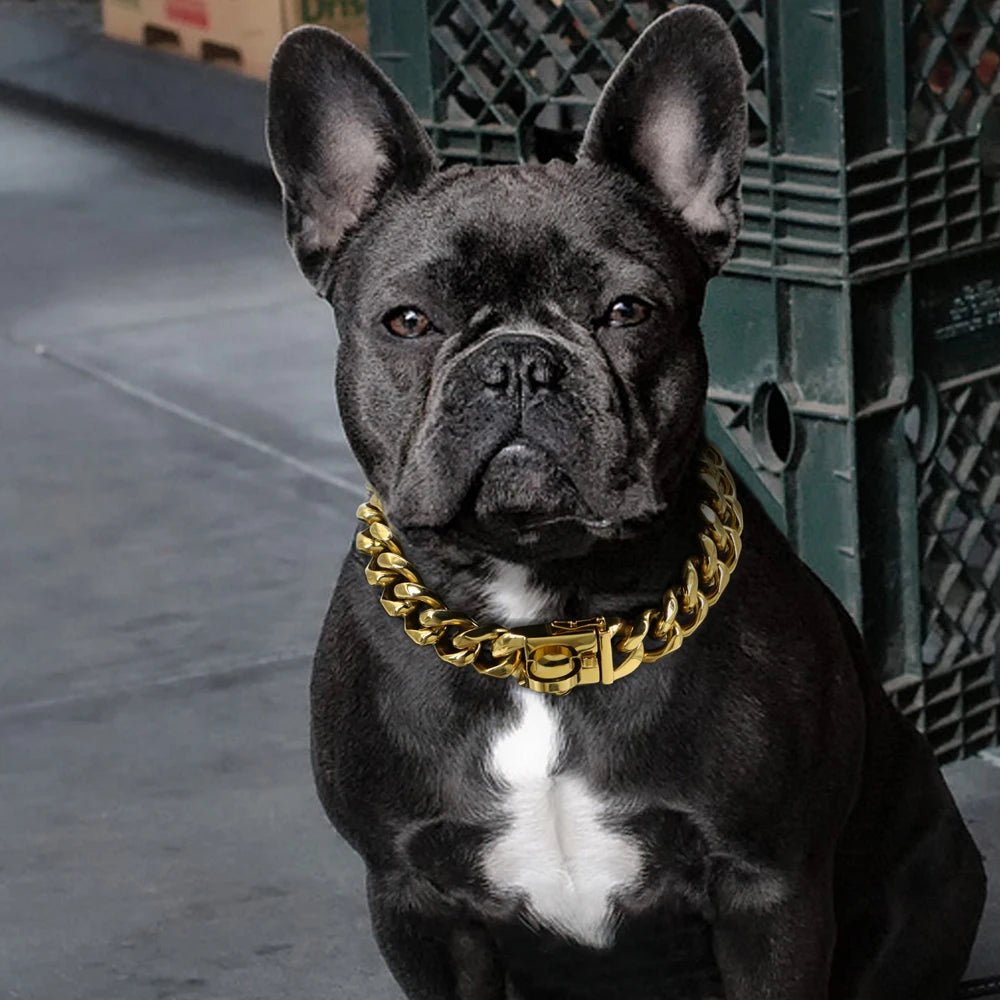 Stainless Steel Dog Chain Collar & Leash Set – Heavy Duty Training Collar for Medium & Large Dogs