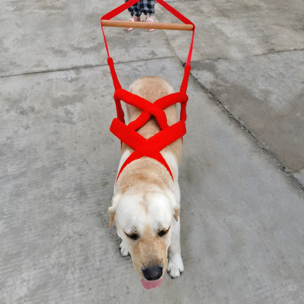 Durable Big Dog Weight Pulling Harness Dog Sledding Harness For Medium Large Dogs German Shepherd Training Pet Agility Products