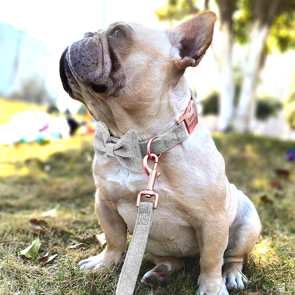 Customized Dog Collar & Leash Set – Personalized Pet Collars with Bowtie & Free Engraving