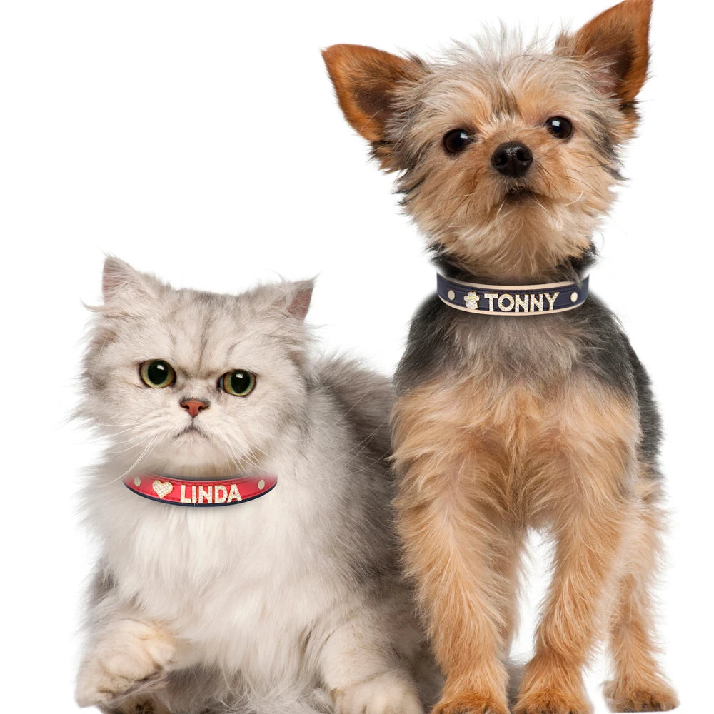 Personalized Small Dog Cat Collar – DIY Rhinestone Bling Charm