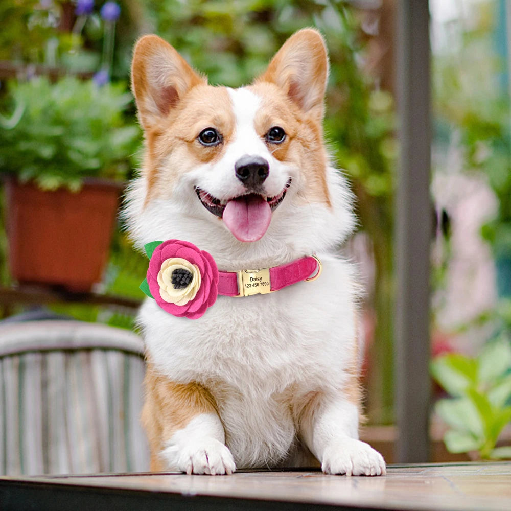 Personalized Floral Dog Collar – Custom Engraved Buckle with Cute Flower Accessory for Dogs & Cats