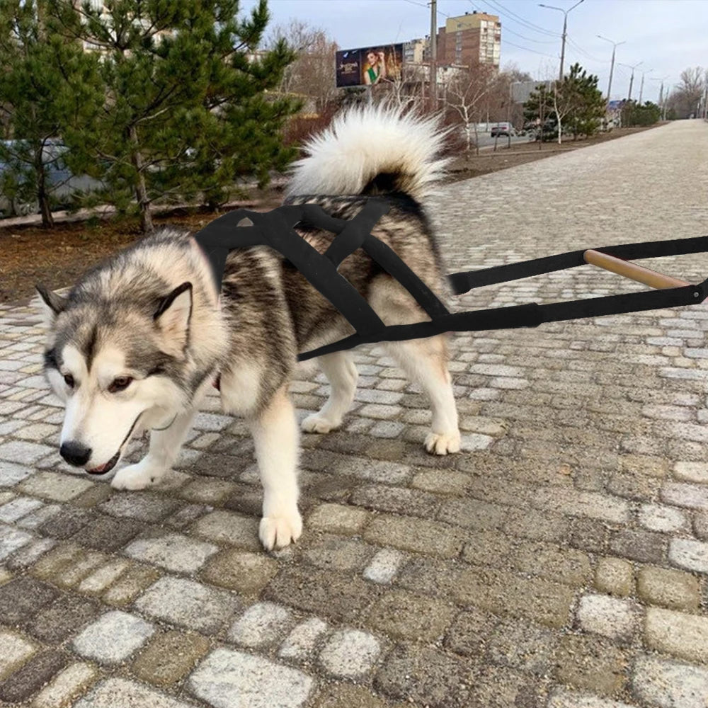 Durable Big Dog Weight Pulling Harness Dog Sledding Harness For Medium Large Dogs German Shepherd Training Pet Agility Products
