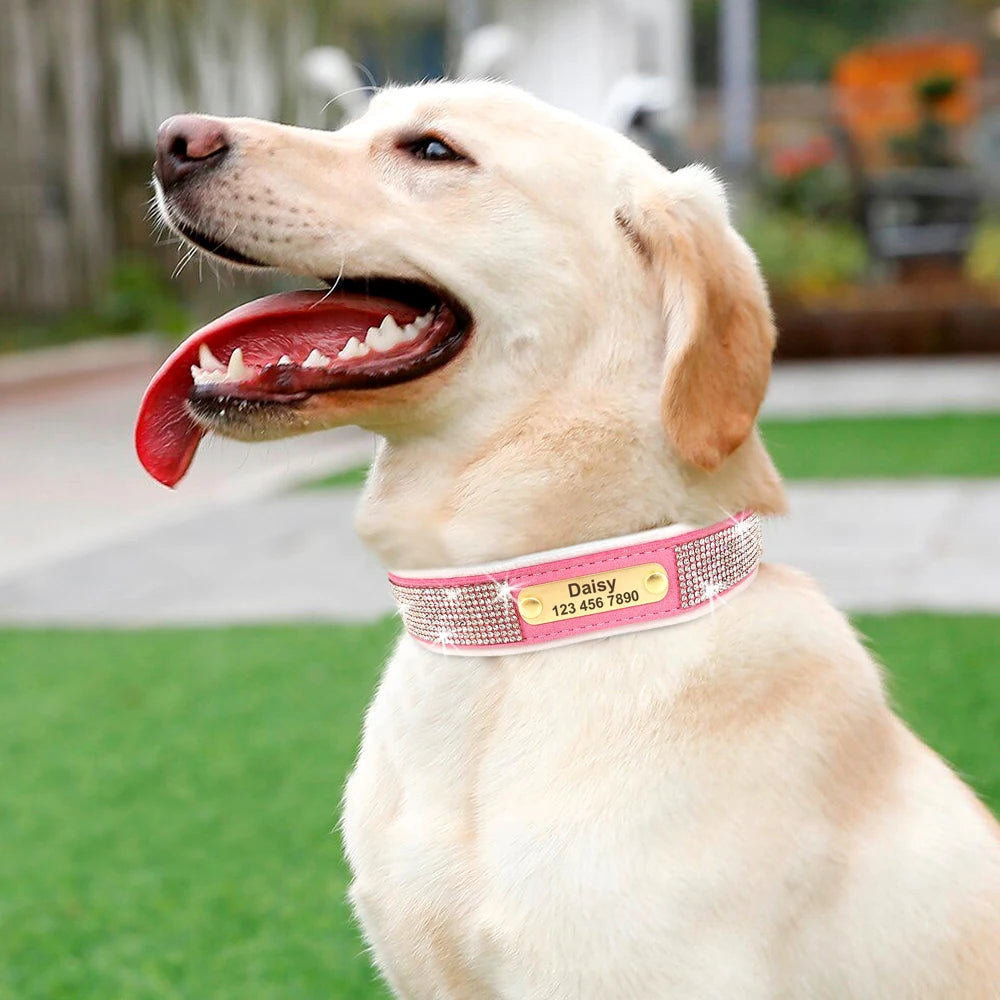 Personalized Dog Tag Collar – Bling Rhinestone Nylon Pet Collar with Soft Padded Lining, Free Engraving for Small Medium Dogs & Cats