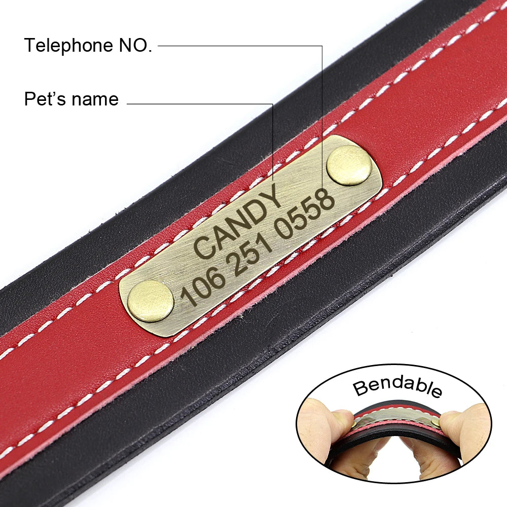 Personalized Leather Dog Collar – Soft Padded, Custom Engraved Nameplate for Medium & Large Dogs