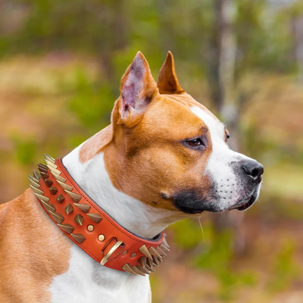 Cool Spiked Studded Leather Dog Collar – Durable Strong Collar for Medium & Large Dogs (Pitbull, Bulldog, Boxer)