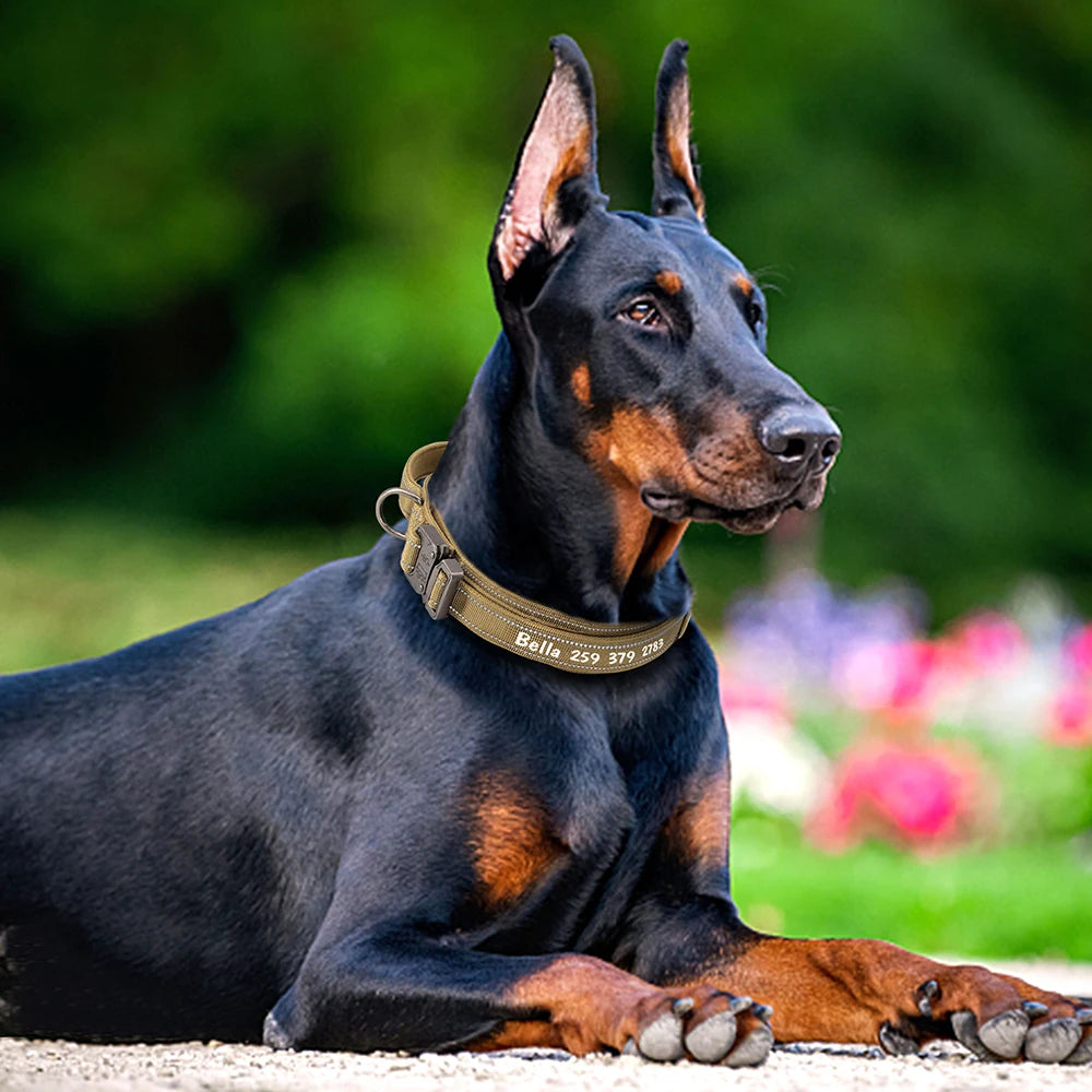 Custom Nylon Dog Collar – Military Tactical Reflective Collar for Medium & Large Dogs