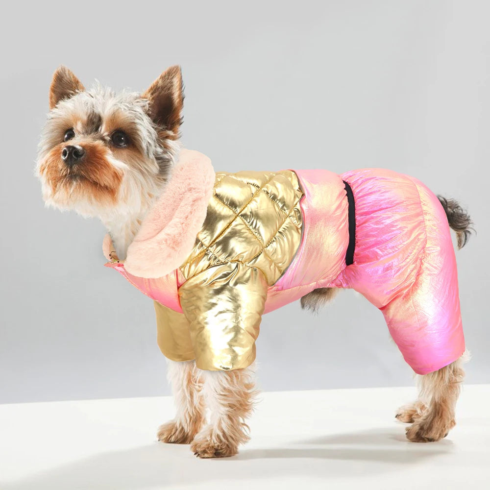 Warm Winter Dog Coat – Waterproof Jacket for Small & Medium Breeds