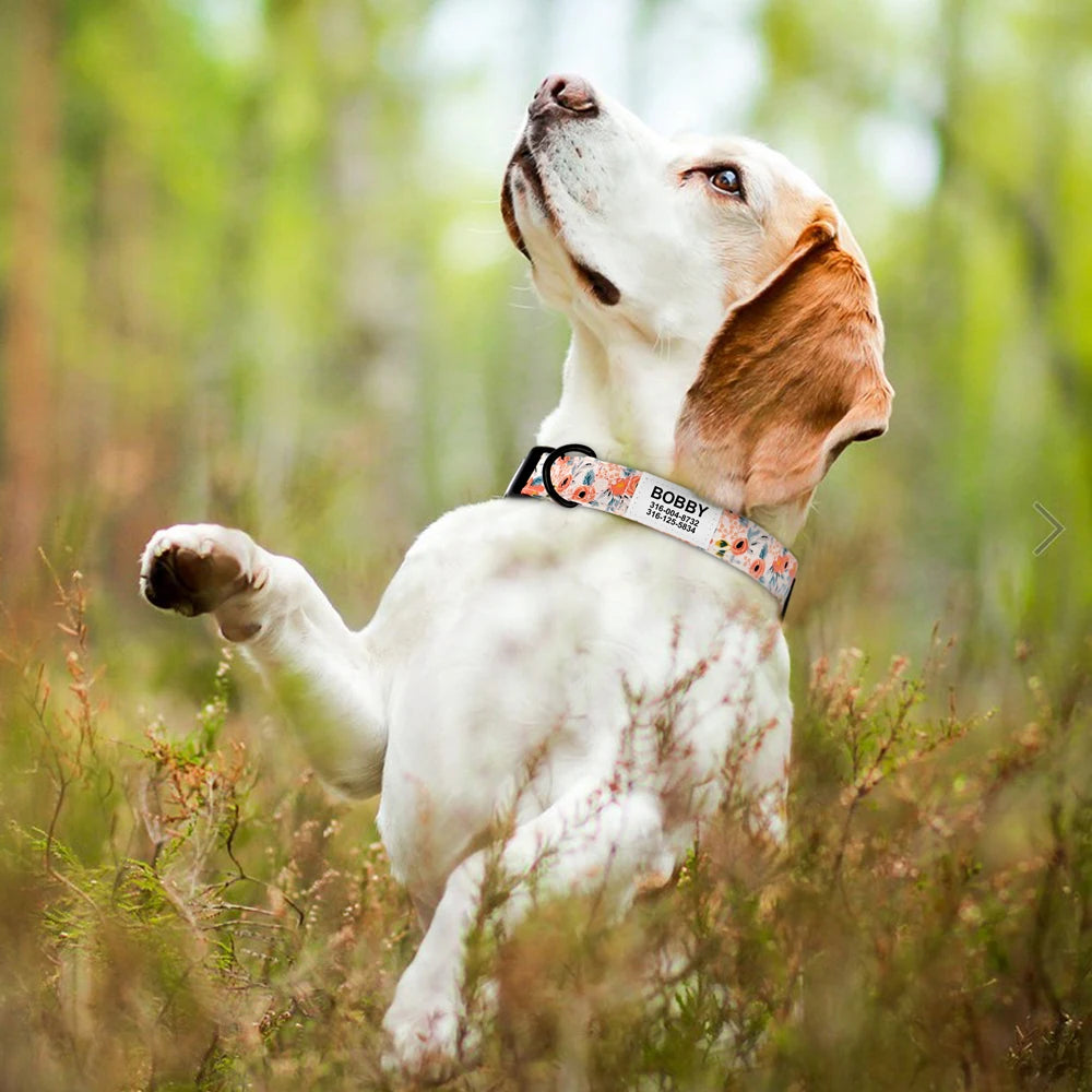 Customized Nylon Dog Collar – Floral Printed Personalized ID Tag for Dogs & Cats